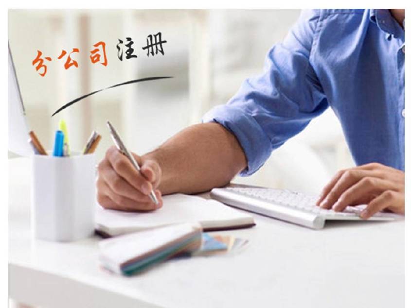 定西公司登记的注册资本数额较高，认缴期限也比较长，应该怎么办？